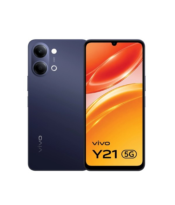 vivoy2